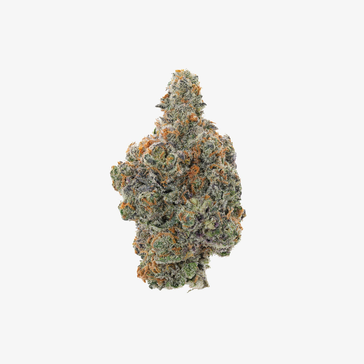 THCA FLOWER / CARAMEL APPLE GELATO / REVENGE New Standard Hemp Company