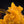 Load image into Gallery viewer, revenge thca rosin key lime pie detail