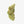 Load image into Gallery viewer, revenge thc-a flower strawberry cough 3.5 detail