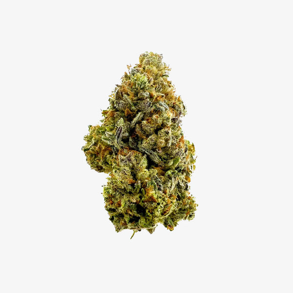 THC-A FLOWER / KING GELATO / HAZE EXOTICS GOLD RESERVE