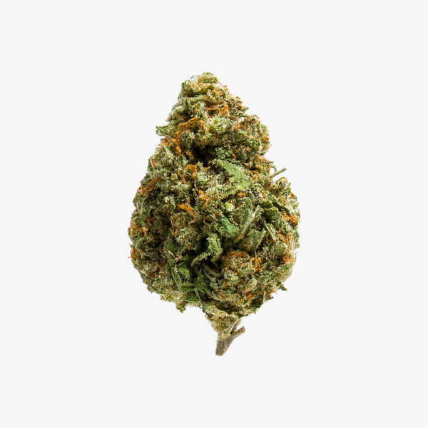 Dried cannabis bud on a white background