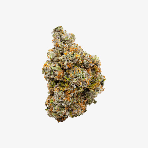 Close-up of a cannabis bud on a white background