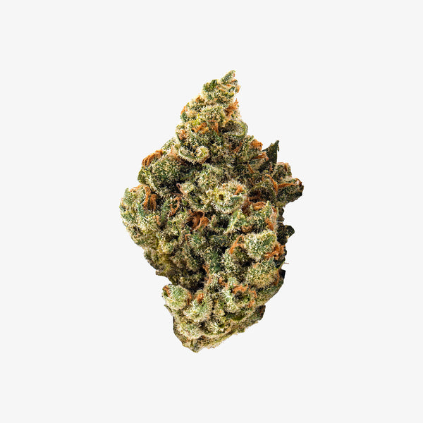 Close-up of a cannabis bud on a white background